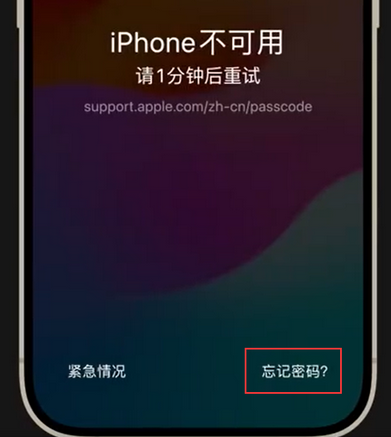 义马苹果手机密码维修分享iPhone忘记了刚设置的密码 
